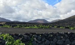 suedtour_halbtags_1_1920x690