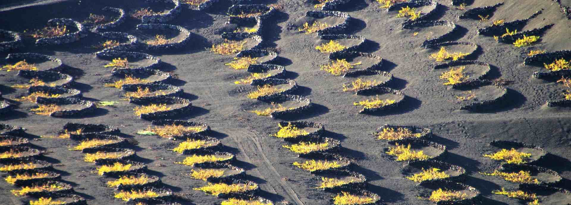 Gran Tour – Bild 5