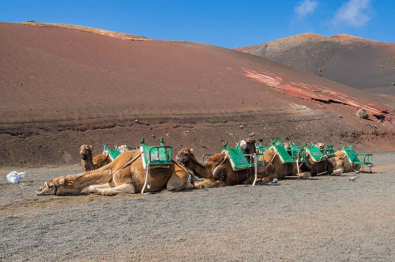 Südtour (ganztags) – Bild 4