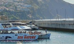 katamaran_2_1920x690