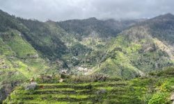 levada_do_norte_600x216_featured