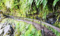 queimadas_1_1920x690