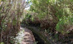 rabacal_1_1920x690-1