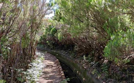 rabacal_1_1920x690-1