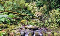 ribeiro_frio_1_854x306