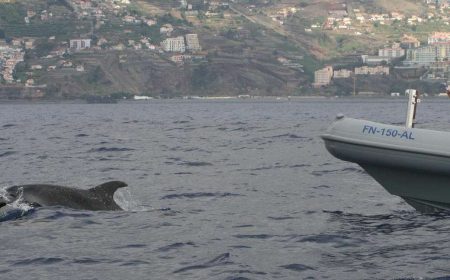 rota_dos_cetaceos_bootstour_1_1800x647