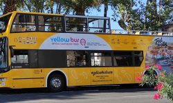 yellow_bus_1920x690