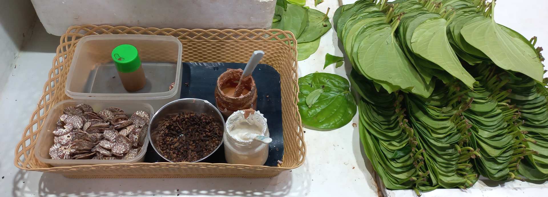 Betel und Betelkauen