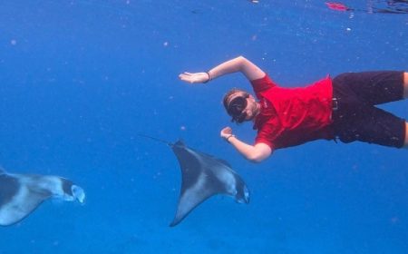 tauchen_mit_mantarochen_600x350