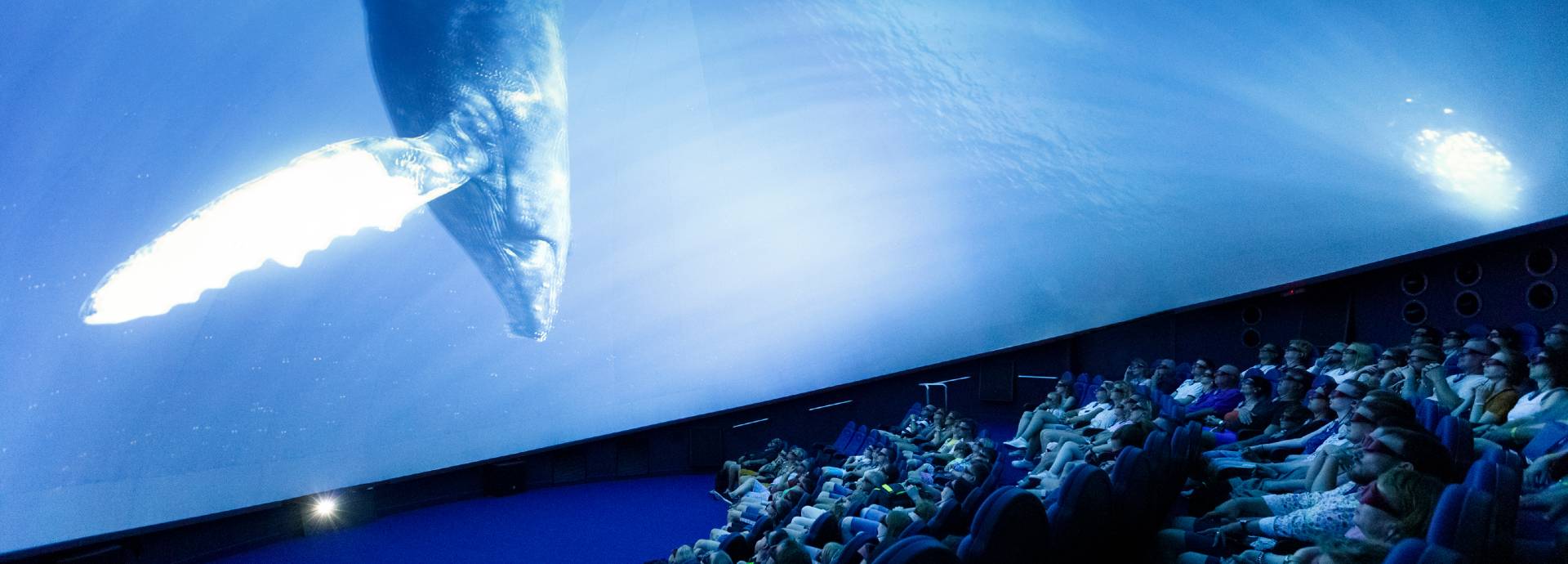 Palma Aquarium & Palma – Bild 2