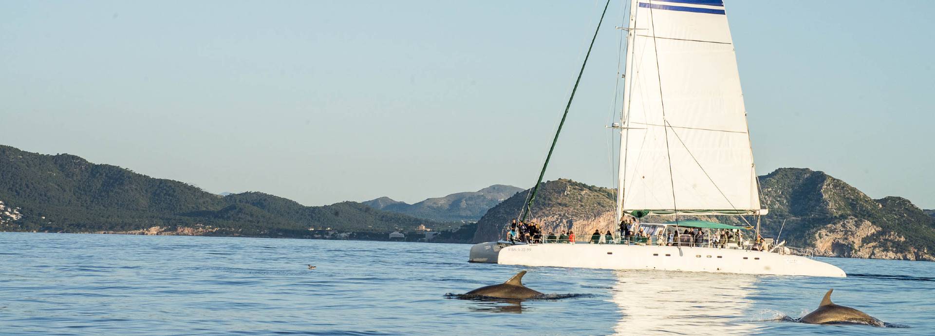Segel-Katamaran Blue Mediterraneum (mit/ohne Transfer)