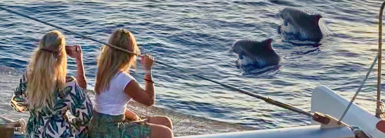 Segel-Katamaran Robinson Boat – Bild 2