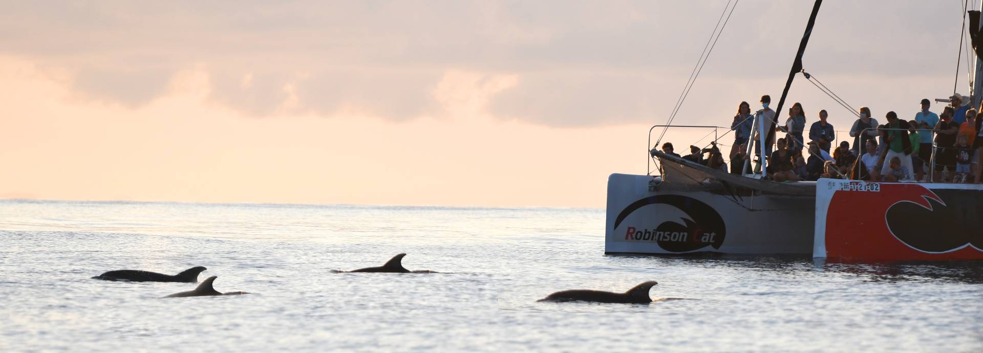 Segel-Katamaran Robinson Boat – Bild 3