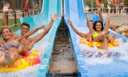 aqarenal00208_1920x690