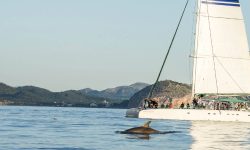 delfine_blue_mediterraneum4_1920x690