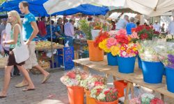 formentor_markt-alcudia2_1920x690