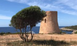 img-20210625-wa0010_1920x690