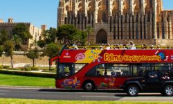 sightseeing_bus_1_1920x690