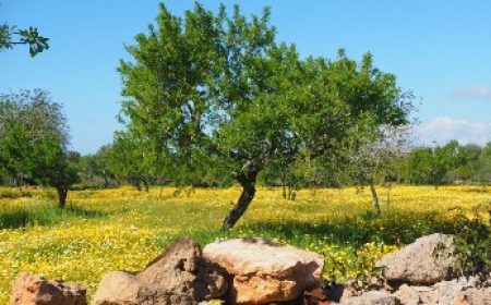 voyager_featured_600x216