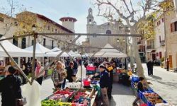 zauberhaftes_mallorca_featured_600x216