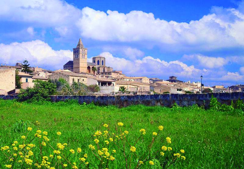 Formentor Xperience und Markt von Sineu – Bild 4