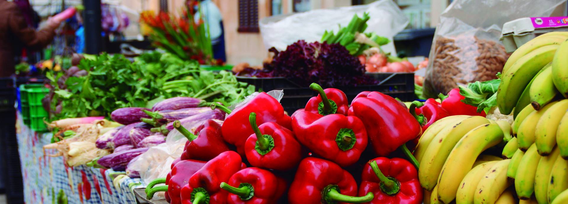 Formentor Xperience und Markt von Sineu