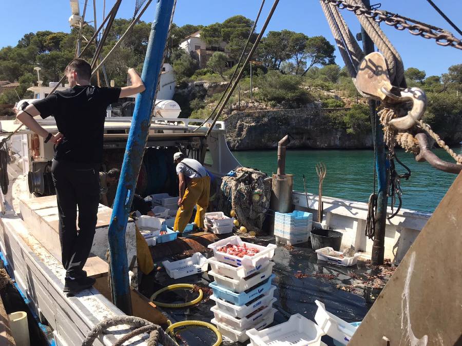 Mallorca anders – Bild 4