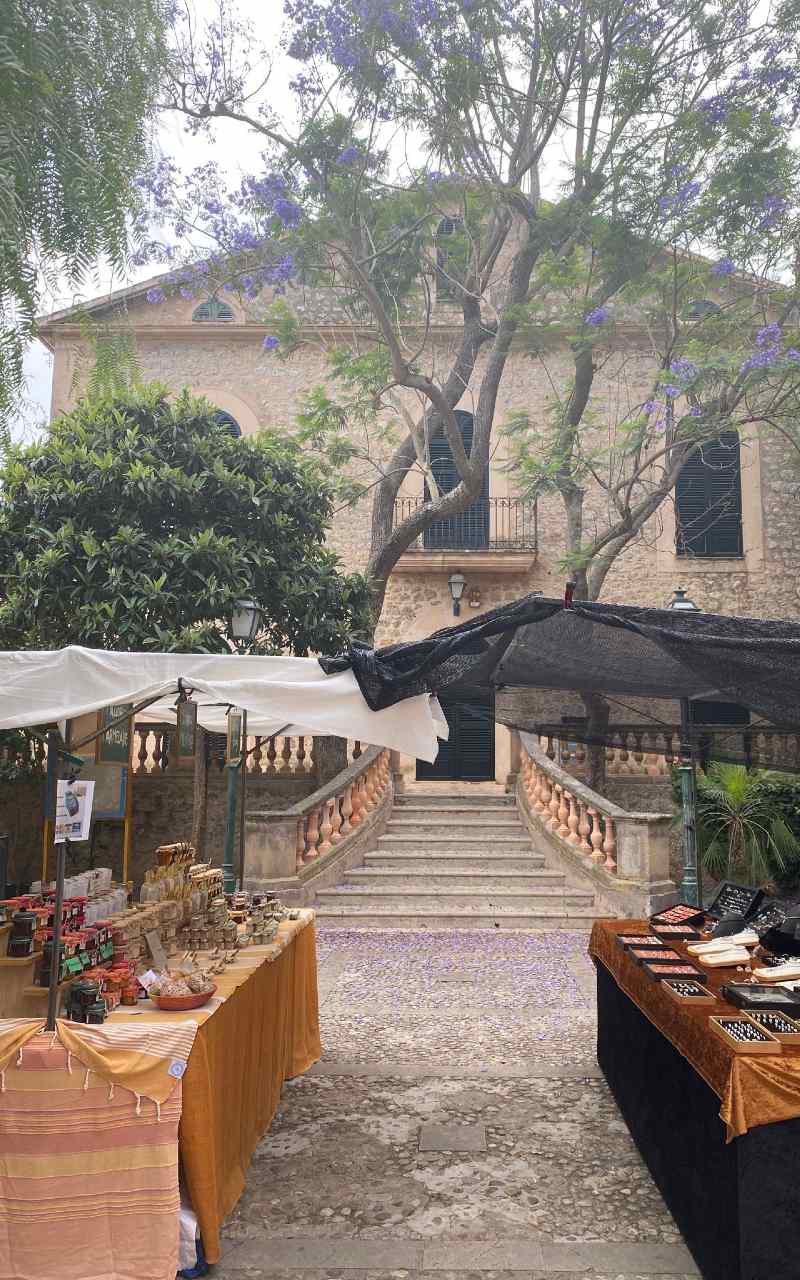 Artà Markt und Höhlen – Bild 7