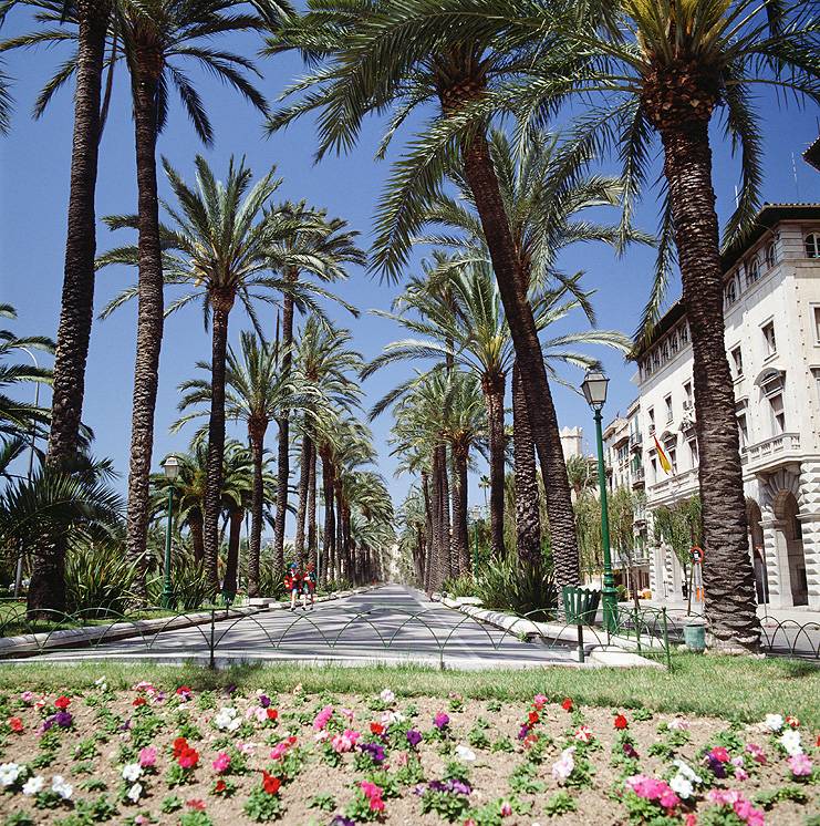 City Xperience Palma & Ballermann – Bild 4