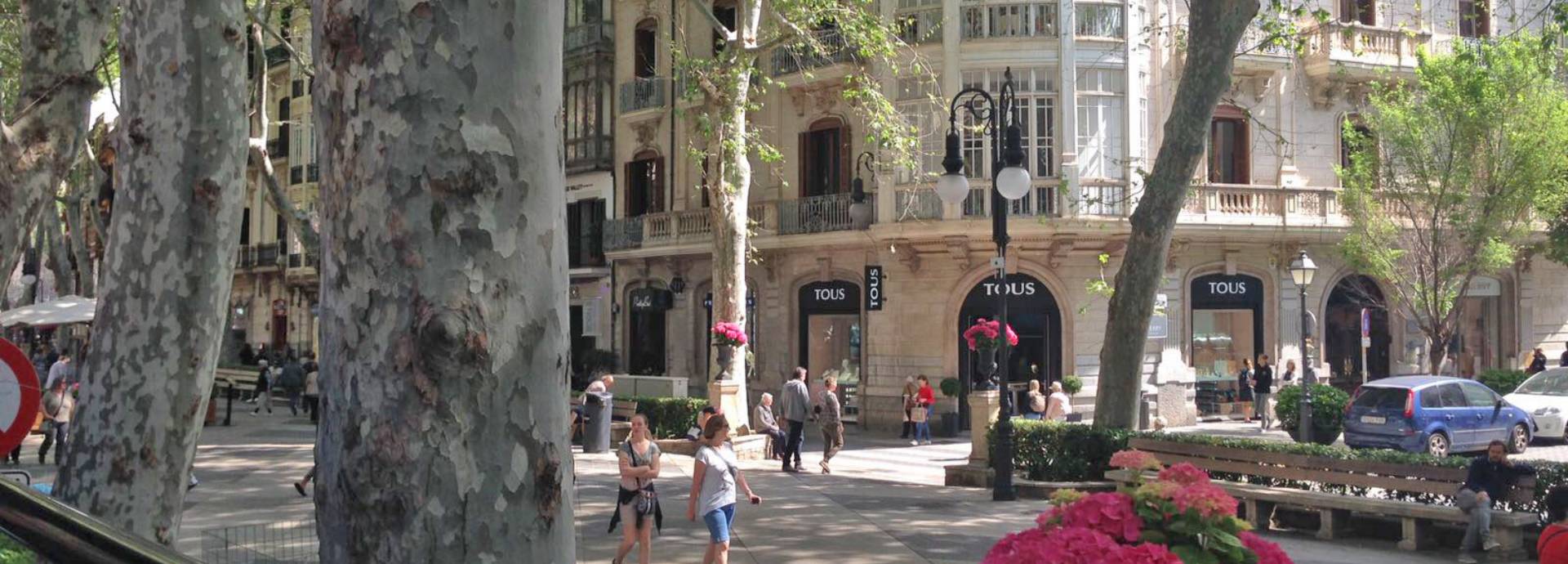 City Xperience Palma – Bild 5