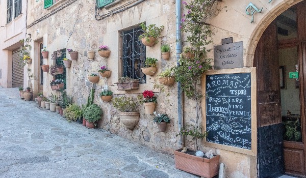 Voyager Minibustour – Bild 2