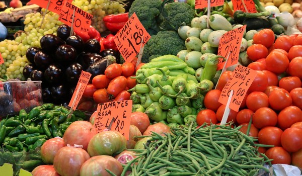 Voyager Minibustour – Bild 3