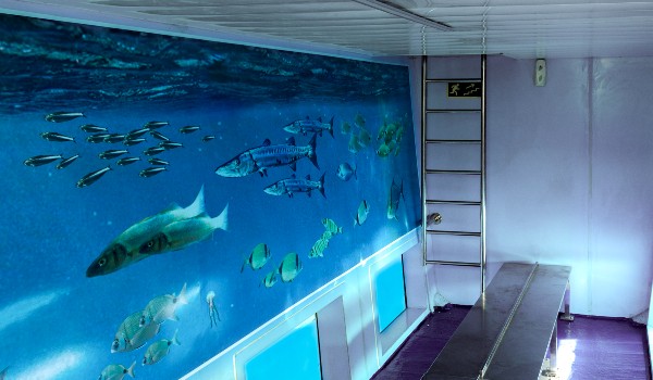 Don Joan Hafenrundfahrt in Mahon – Bild 3