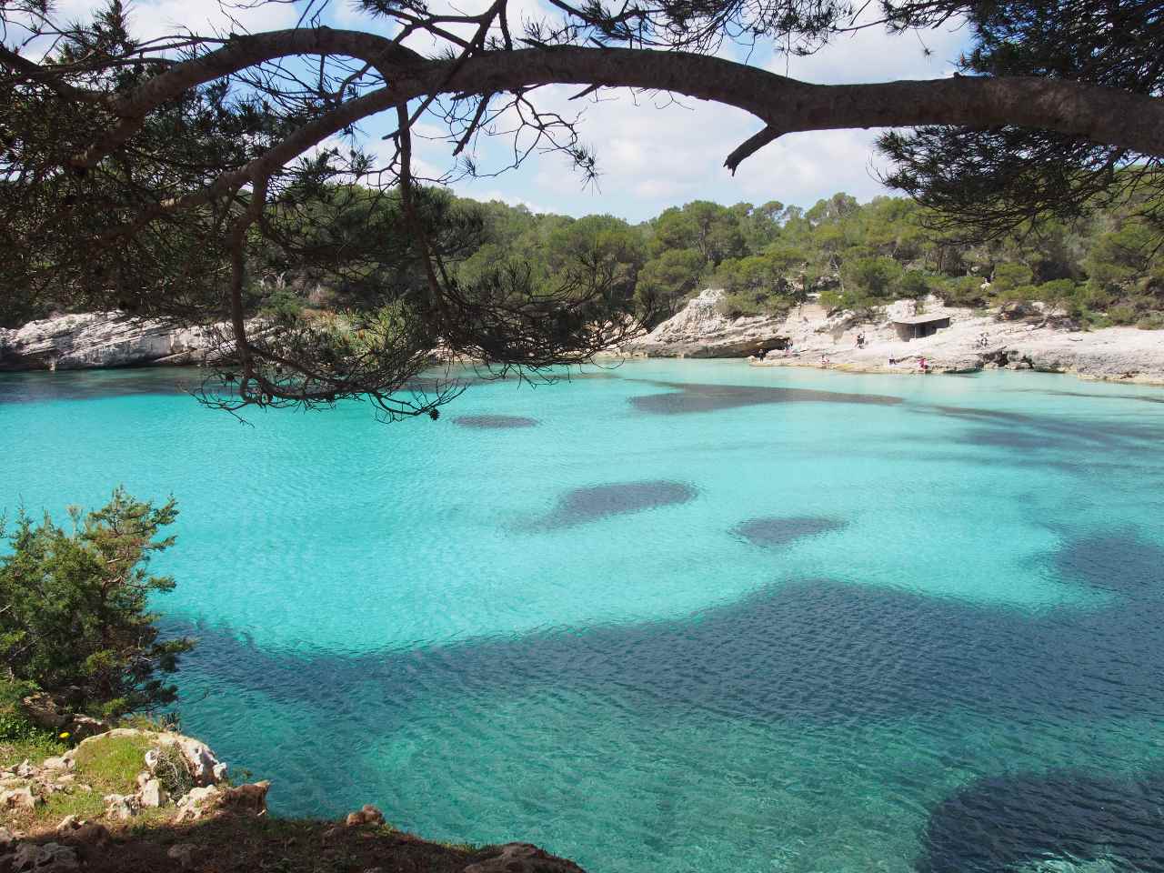 Tag auf dem Meer (mit/ohne Transfer) – Bild 4