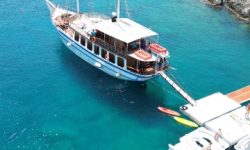 el_greco_featured_600x216