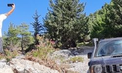 jeep_safari_featured_600x216