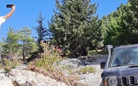 jeep_safari_featured_600x216