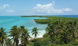 isla_contoy_mujeres_1_1920x690