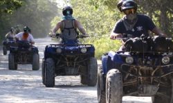 jungle_adventure_featured_600x216