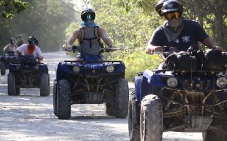 jungle_adventure_featured_600x216