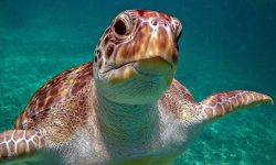 schnorcheltour1_1920x690