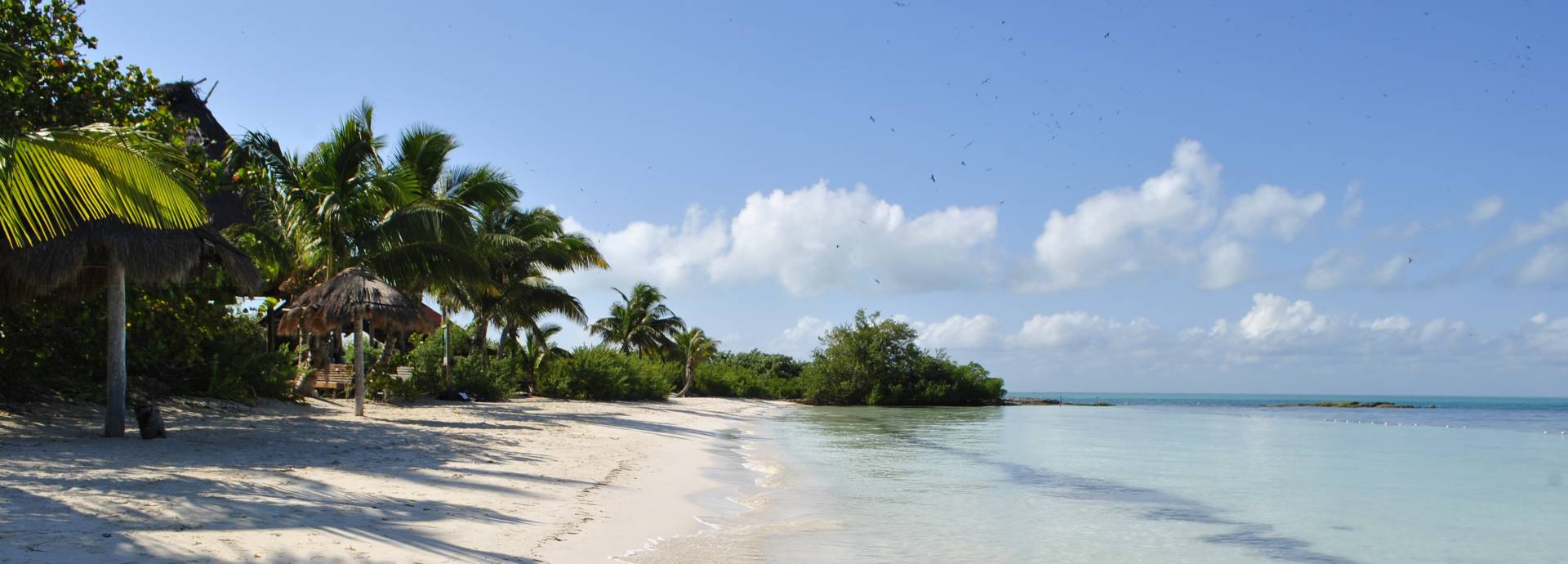 Isla Contoy & Isla Mujeres – Bild 9