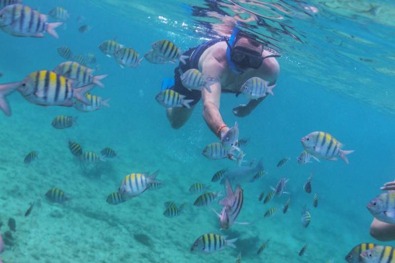 Katamaran Isla Mujeres – Bild 3