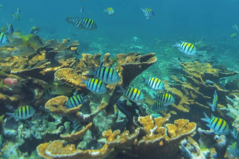 Katamaran Isla Mujeres – Bild 4