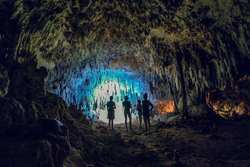 Schnorcheltour Cenoten & Schildkröten – Bild 4