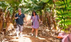 agroturismo_600x216_featured