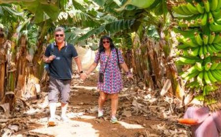 agroturismo_600x216_featured