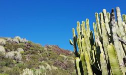 camino_real_1_1920x690