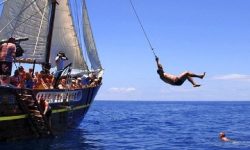 flipper_uno_600x216_featured