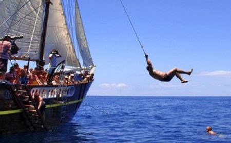 flipper_uno_600x216_featured